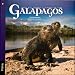 Galapagos, Islands of time
