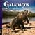 Galapagos, Islands of time