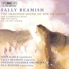 Imagined Sound of Sun on Stone (Swedish Co/Rudner)