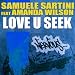 Love You Seek (Bassmonkeys Remix)