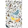 To See Every Bird on Earth: A Father, a Son and a Lifelong Obsession