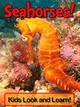 Seahorses! Learn About Seahorses and Enjoy Colorful Pictures - Look and Learn! (50+ Photos of Seahorses) Seahorses! Learn About Seahorses and Enjoy Colorful Pictures - Look and Learn! (50+ Photos of Seahorses)