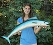 Giant Fiberglass Taxidermy King Fish Wall Mount 39"