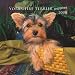Yorkshire Terrier Puppies 2008 Mini Wall Calendar (German, French and Spanish Edition)
