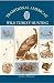 Traditional American Wild Turkey Hunting (Traditional) by Edward A. McIlhenny