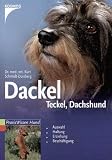 Dackel. Teckel. Dachshund: Auswahl, Haltung, Erziehung, Besch�ftigung