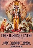 Eden Hashish Vintage Pulp Novel Cover Retro Art Poster