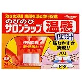 のびのびサロンシップH 24枚  (医薬品)