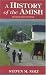 A History of the Amish