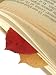 1,000 Social Bookmarks