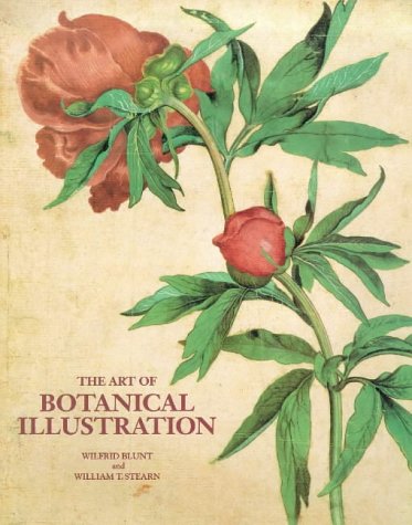 Childrens Toyshop  Books : The Art of Botanical Illustration