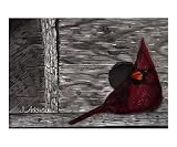 Just Stopping By Animals Giclee Poster Print by Jamie Atkinson, 10x8