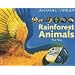 Rainforest Animals (Animal Verse)