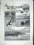 Duck Shooting Long Point Island Lake Eire Print 1889