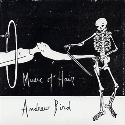 Andrew Bird Foto 8