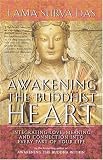 Awakening The Buddhist Heart: Integrating Love, Meaning, and Connection into Every Part of Your Life