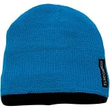 Elm Company Vandal Beanie
