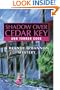 Shadow Over Cedar Key: A Brandy O'Bannon Mystery