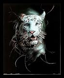 Kristi Jorgensen White Siberian Tiger White Wood-Mounted Art Poster Print - 16" X 20"