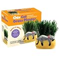 Chia Cat Grass Planter - Snoozy Kitty