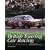 British Touring Car Racing in Camera
