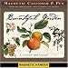 Bountiful Garden 2009 Magnetic Calendar