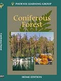 Coniferous Forest (Home Use)