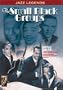 The Small Black Groups