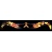 3D Fireworks Glasses - Wave Style - For Viewing Fireworks Displays