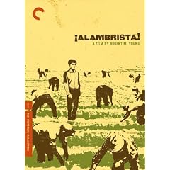 Alambrista!