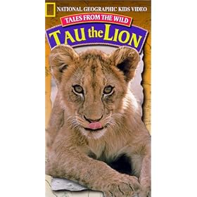 Tales from the Wild:Tau the Lion [VHS]