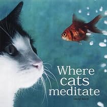 Where Cats Meditate (Gift Book)