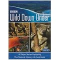 Wild Down Under [DVD]