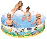 �J���[���[�t �ȒP�ɂł����Ⴄ�v�[�� COLOR REEF SNAPSET POOL 58461