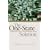 The One-state Solution: A Breakthrough for Peace in the Israeli-Palestinian Deadlock (New Approaches to Conflict Analysis)