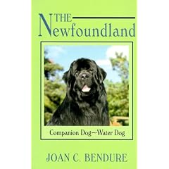 The Newfoundland: Companion Dog-Water Dog (Dog Breed Books)