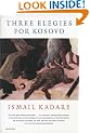 Three Elegies For Kosovo (Panther)