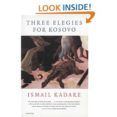 Three Elegies For Kosovo (Panther)