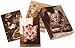 Meow for Now Small Note Cards (Potter Style)