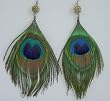 Peacock Feather Earrings