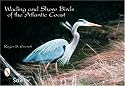 Wading and Shore Bird Postcards