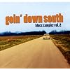 Goin' Down South Blues Sampler Vol. 2