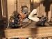 Prince of Persia: Sands of Time