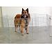 Precision Pet Pro Handler Indoor/Outdoor Exercise Pen, Silver, X-Small