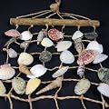Muschelnetz, Fischernetz mit Muscheln 77cmx30cm - maritime Deko