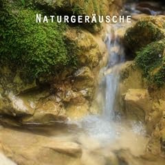 Gentle Flowing Brook Over Stones with Forest Stream. Stress Relief Music Recorded Using a Binaural Dummy Head . True Nature Sounds