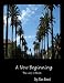 The Lady in Black (A New Beginning)