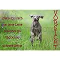 Metall-Warnschild Weimaraner