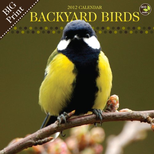 2012 Backyard Birds Big Big Grid