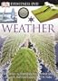 Weather (DK Eyewitness DVD)